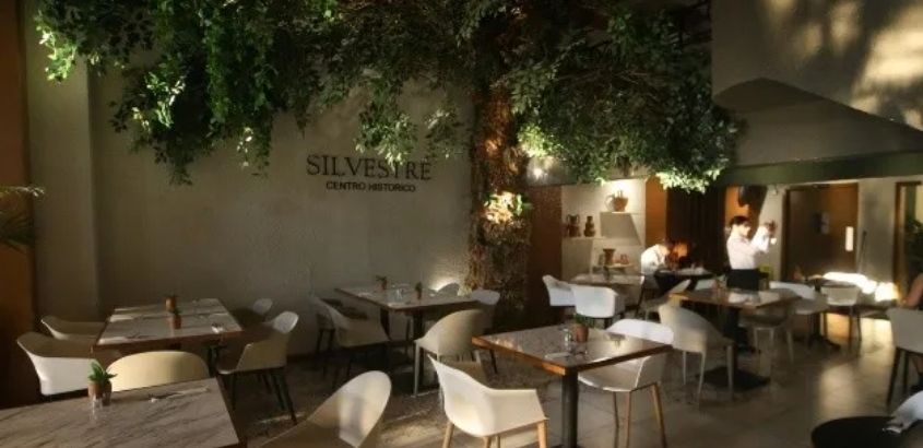 SILVESTRE GASTRO